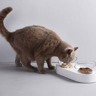Xiaomi PETKIT P521 Adjustable Pet TWO Bowl Stand